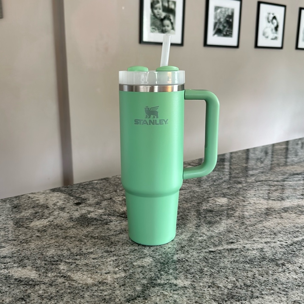 Green 30oz Stanley